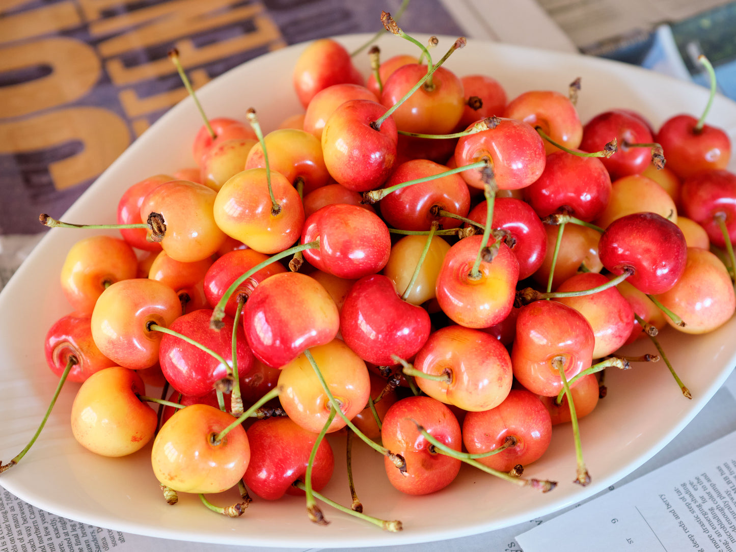Fresh Early Robin Cherries