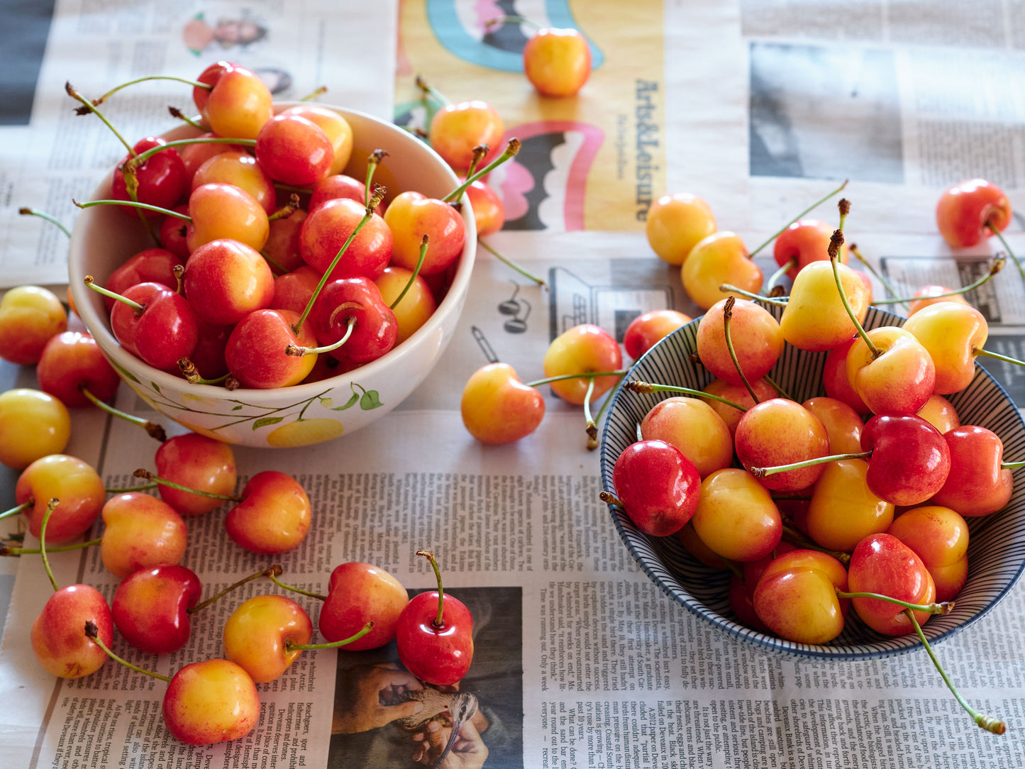 Fresh Early Robin Cherries