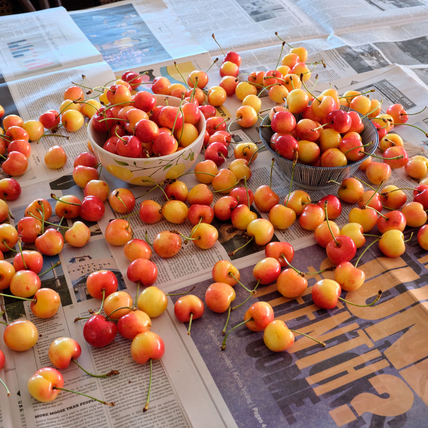 Fresh Early Robin Cherries