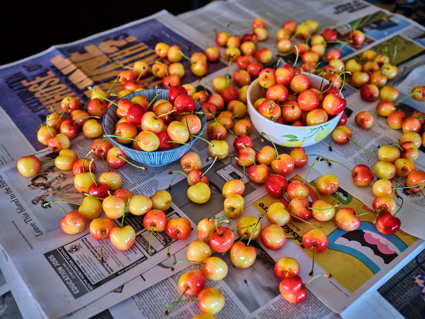 Fresh Early Robin Cherries