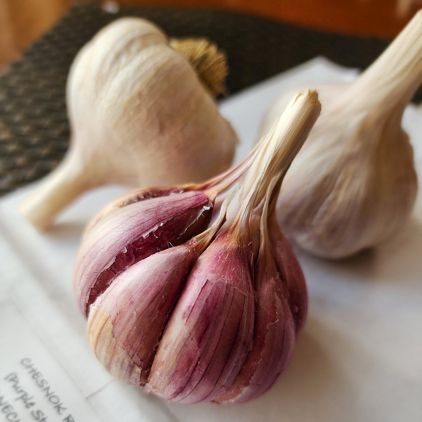 Chesnok Red Organic Hardneck Garlic