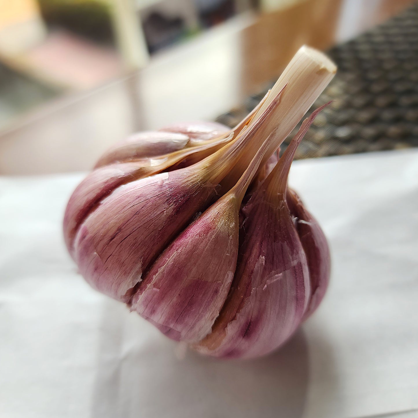 Chesnok Red Organic Hardneck Garlic