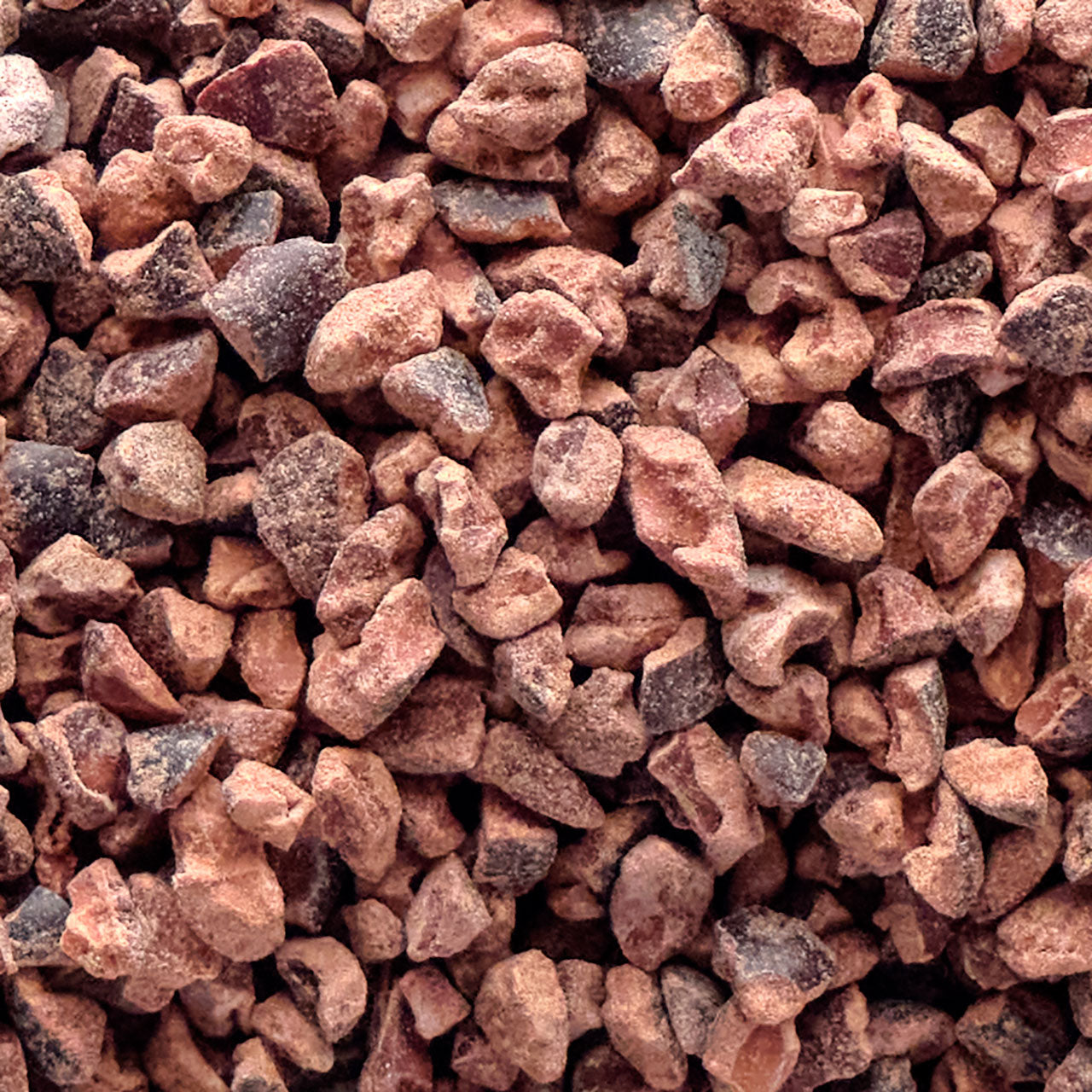 Cocoa Nibs