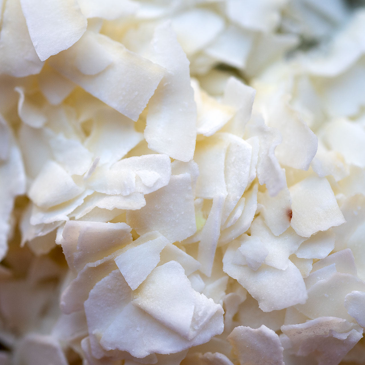 Dried Unsweetened Coconut - Wide Cut