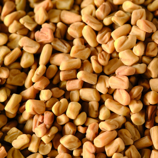 Fenugreek Seeds - Whole Macro