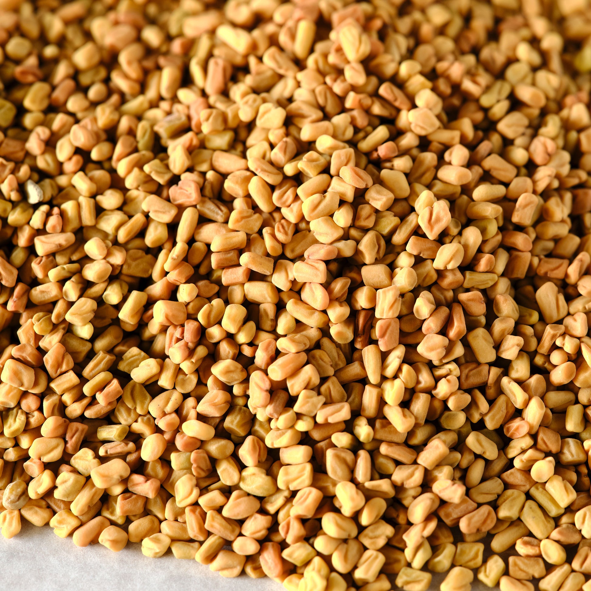 Fenugreek Seeds - Whole detail