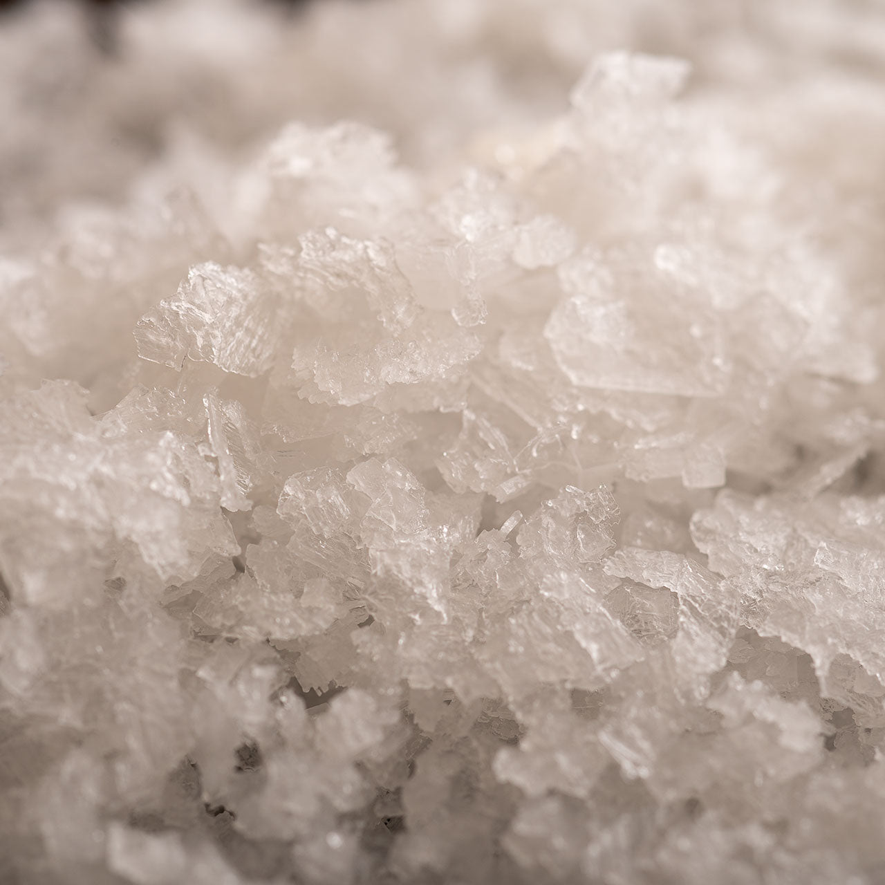 Fossil River Flake Salt - 500 gram Refill Bag