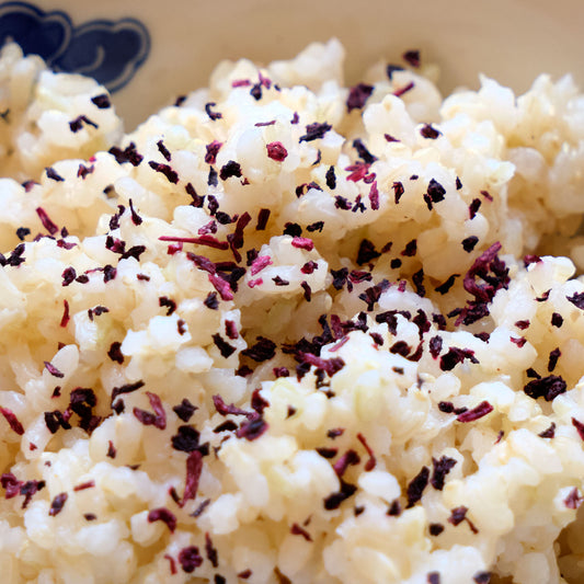 Fukami Organic Shiso Furikake