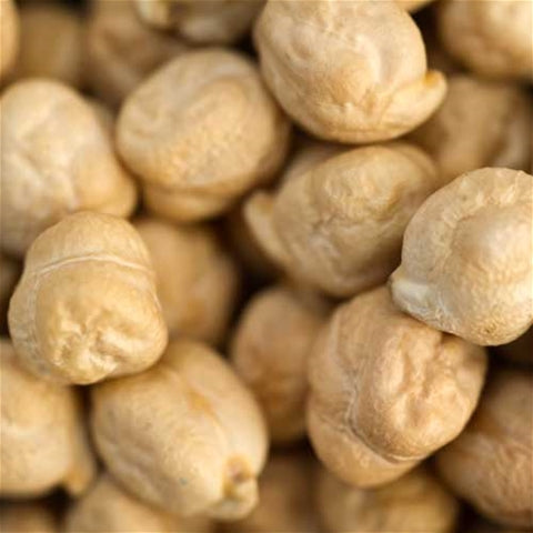 Garbanzo - 1209 York Street Beans - Dried