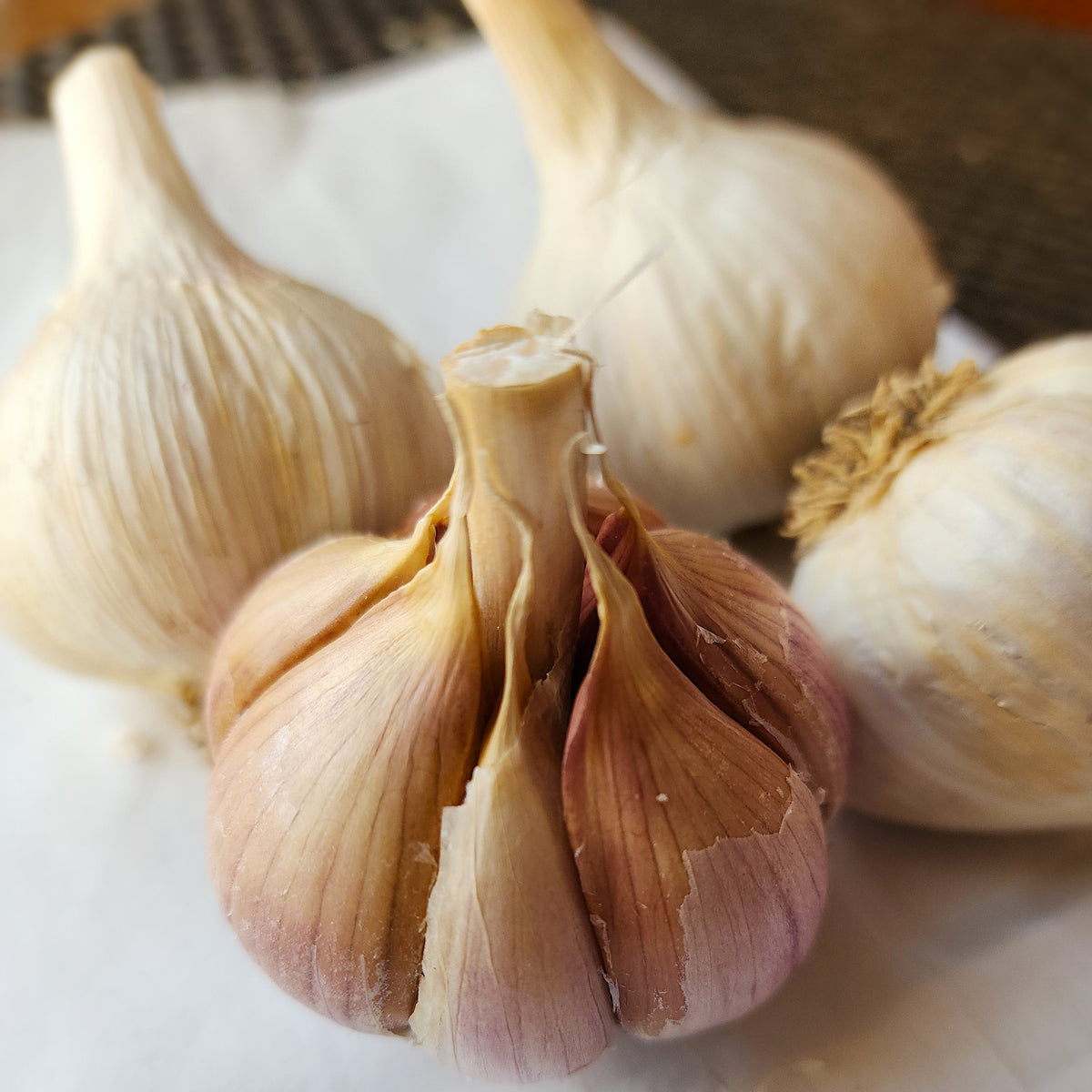 German Red Organic Hardneck Garlic