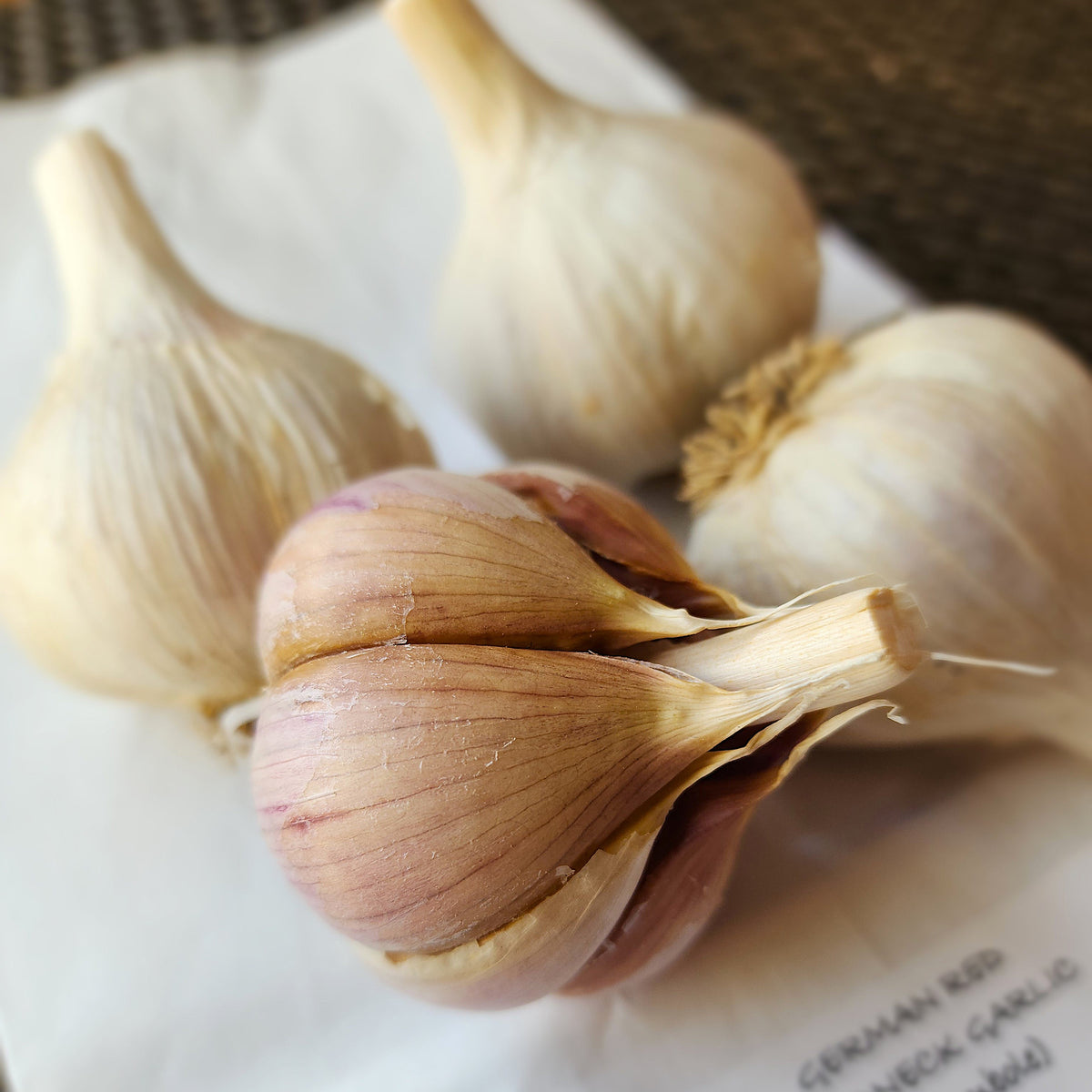 German Red Organic Hardneck Garlic