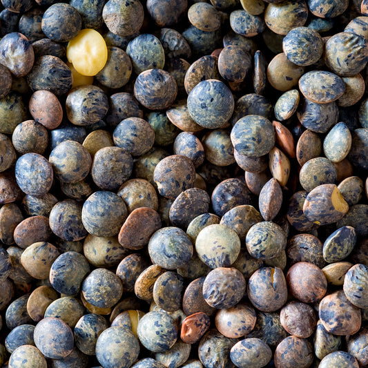 Green Lentils - A.O.C. Le Puy France