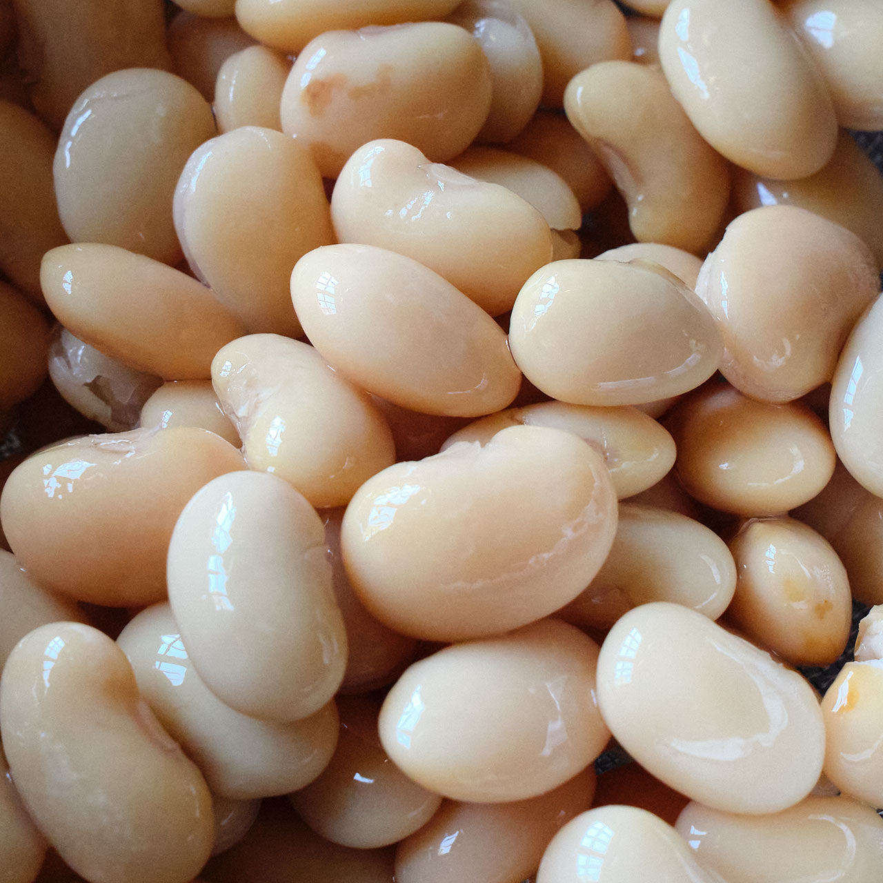 Italian Butter Beans - Canned