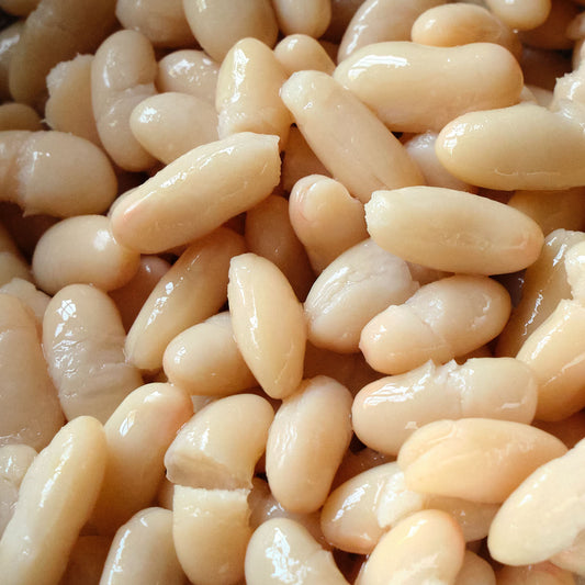 Italian Cannellini Beans - Canned