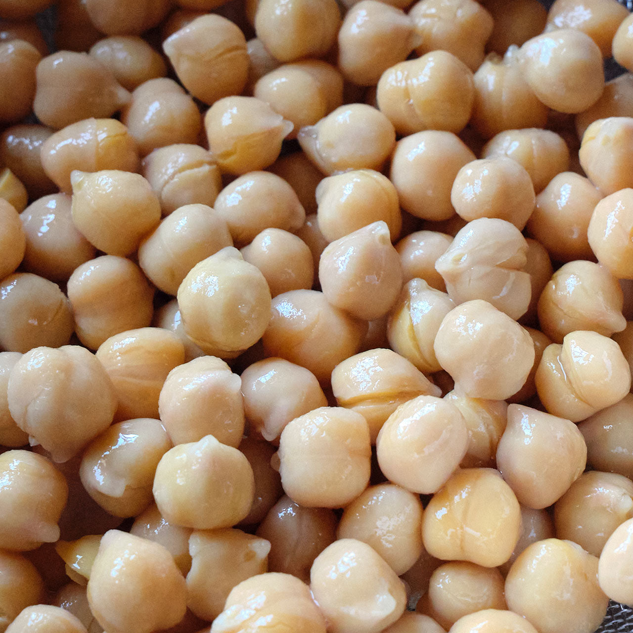 Italian Chickpeas (Ceci Beans) - Canned