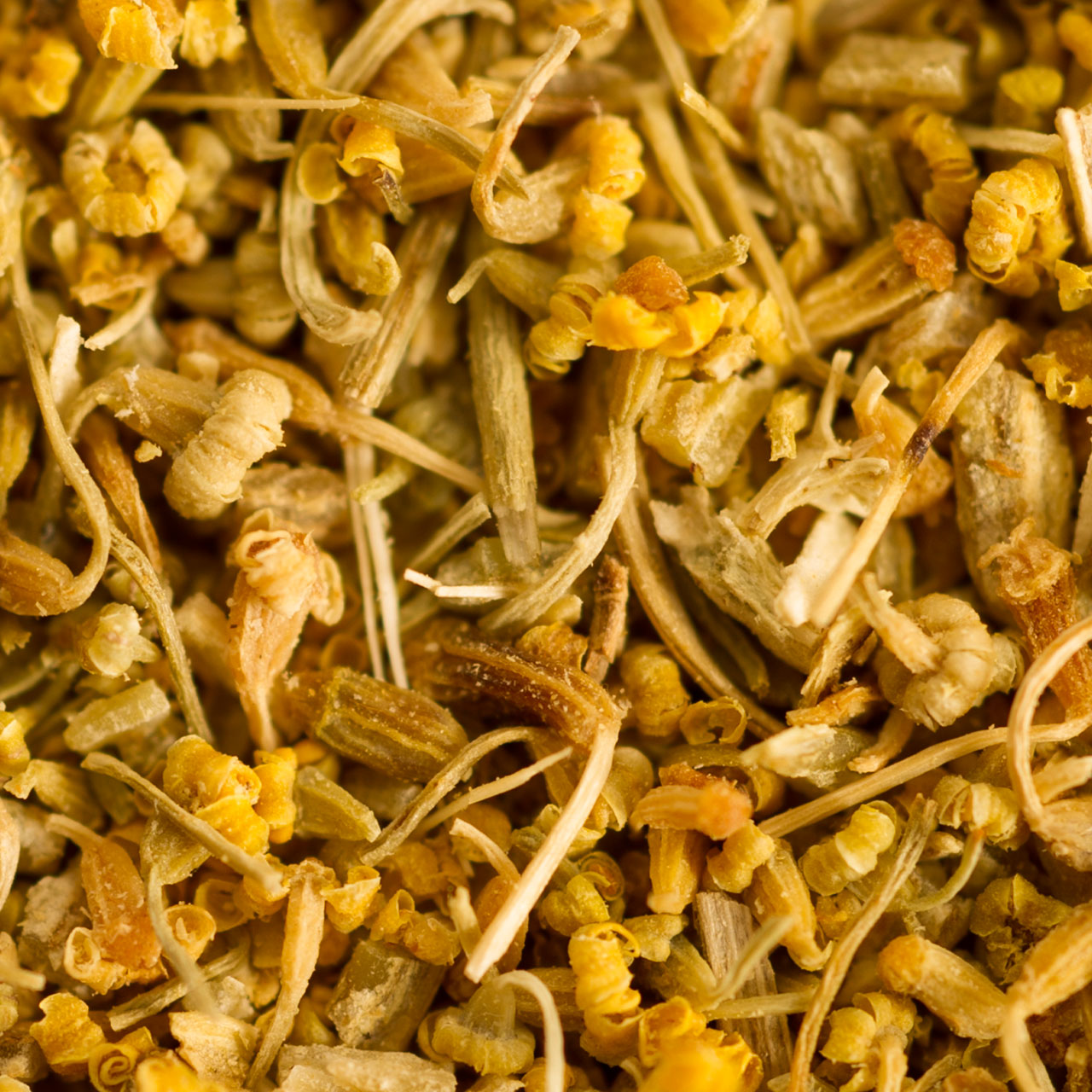 Fennel Pollen - Wild
