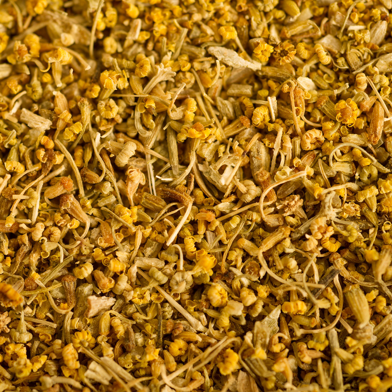 Fennel Pollen - Wild