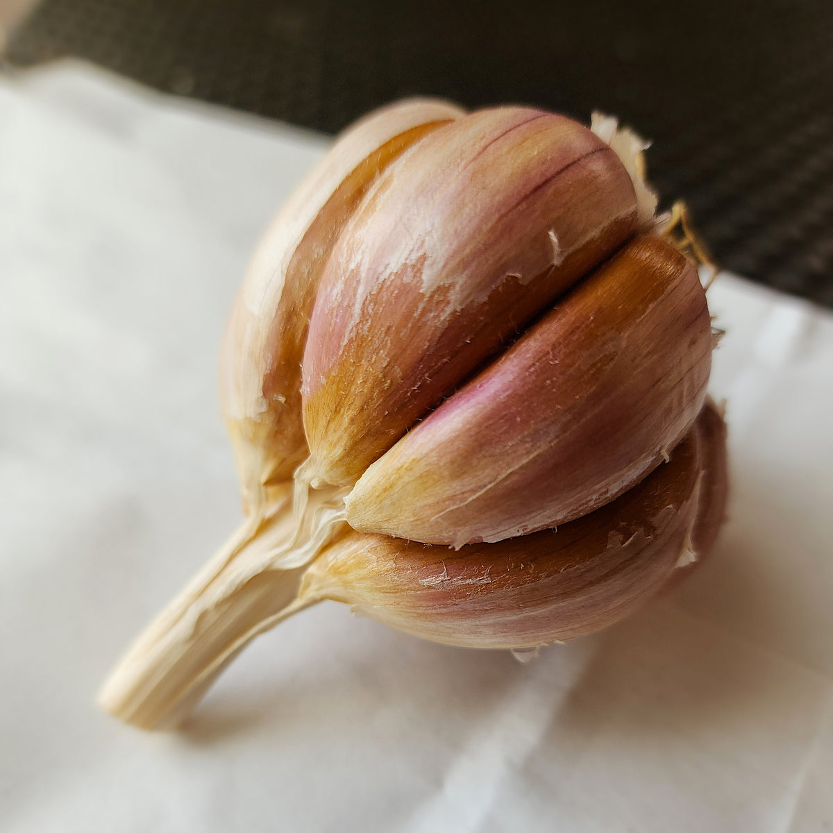 Killarney Red Organic Hardneck Garlic