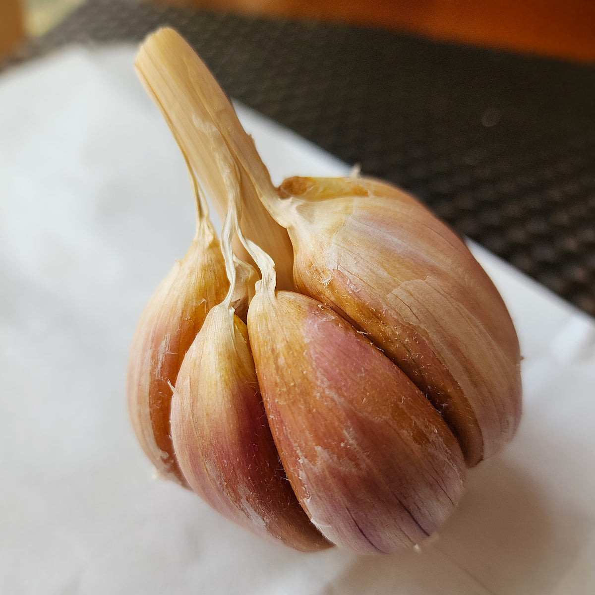 Killarney Red Organic Hardneck Garlic