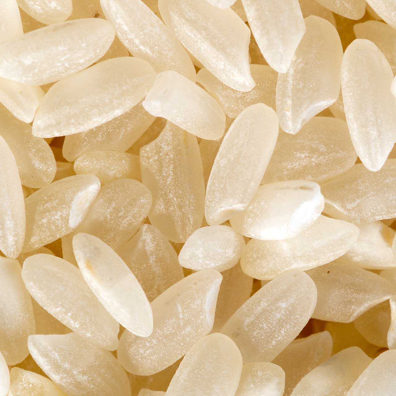 Koda Farms Kokuho Rose Sushi Rice | Rice from California – ChefShop.Com