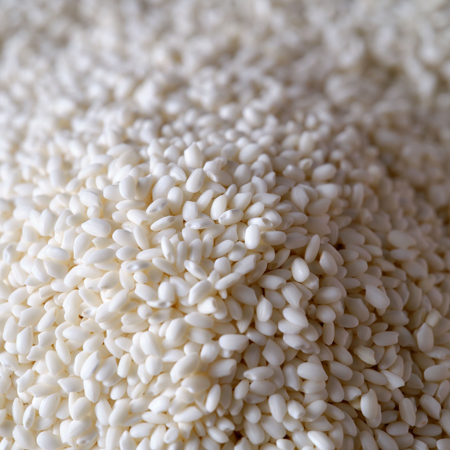 Koda Farms Mochigome Premium Sweet Rice mound