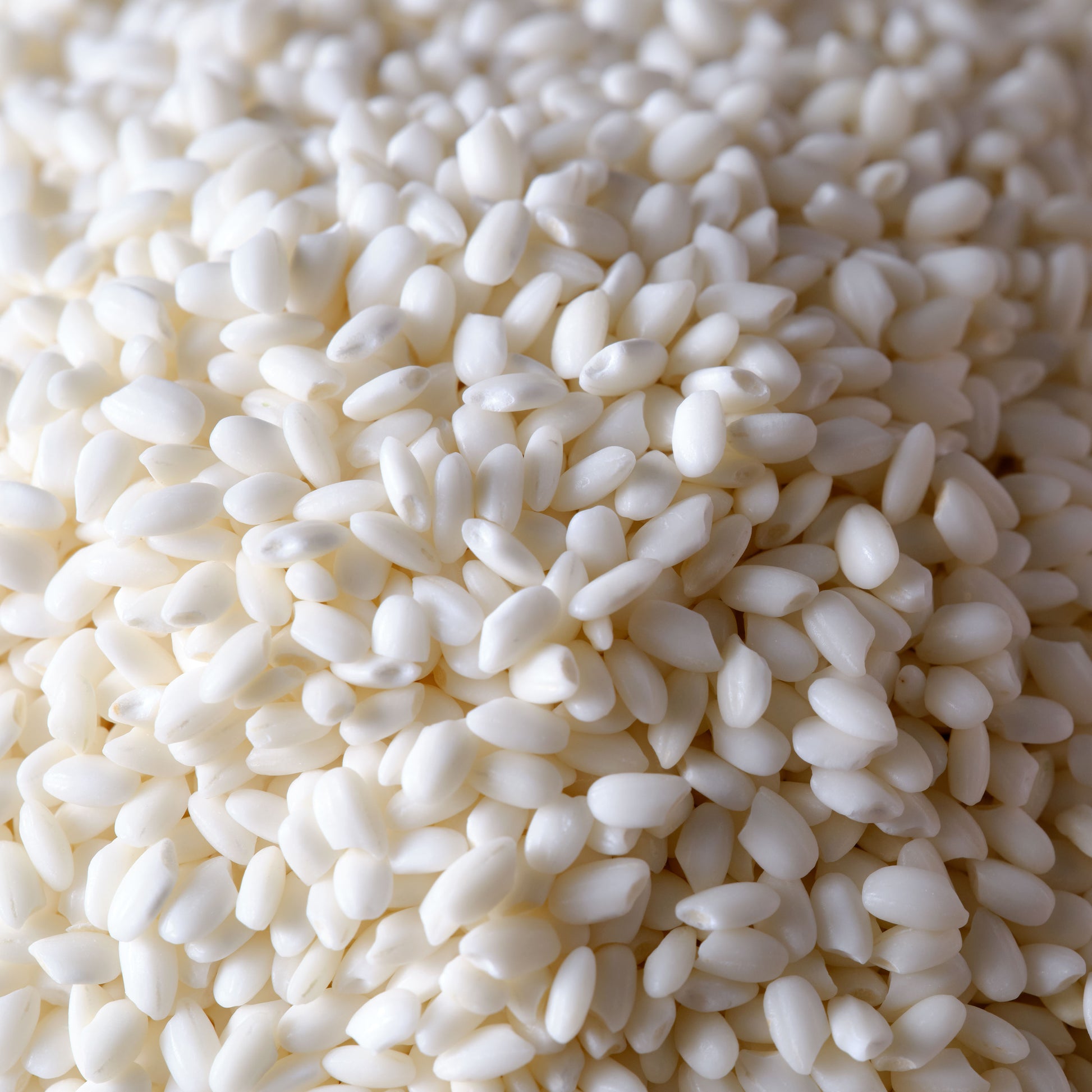 Koda Farms Mochigome Premium Sweet Rice detail