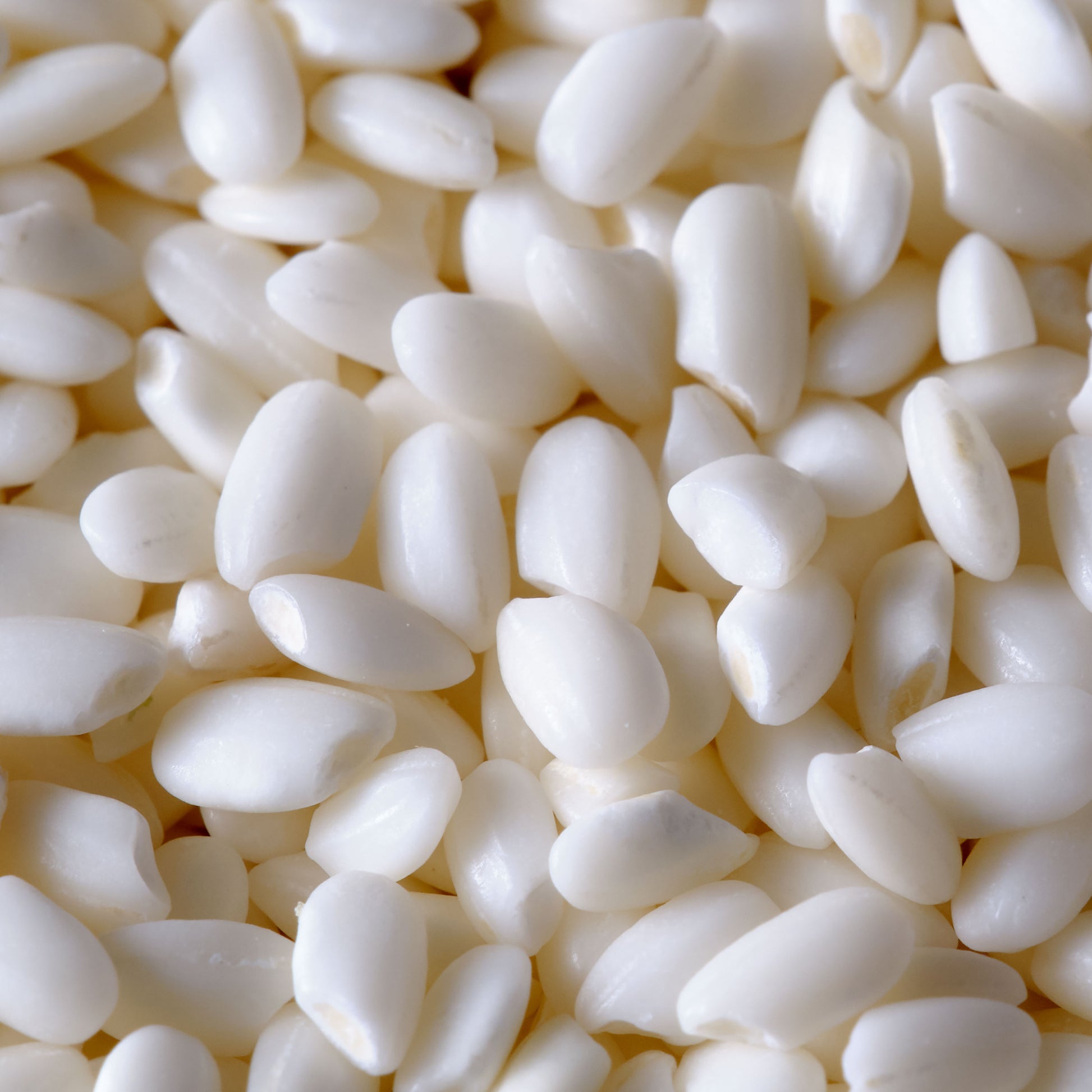 Koda Farms Mochigome Premium Sweet Rice Macro