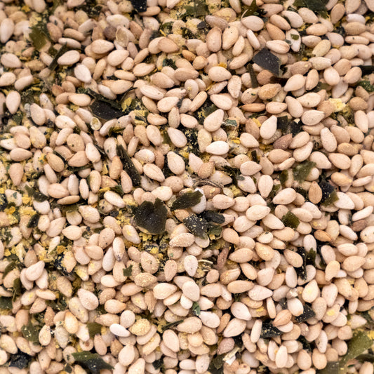 Landsea Gomasio Popcorn Blend
