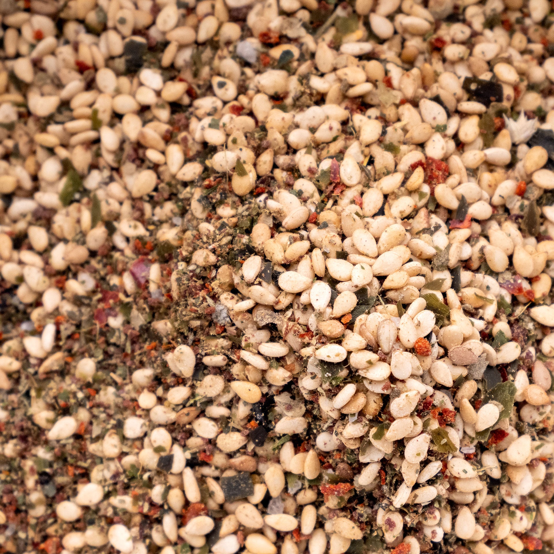 Landsea Gomasio Zaatar Blend close