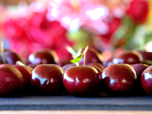 Fresh Washington Lapin Cherries