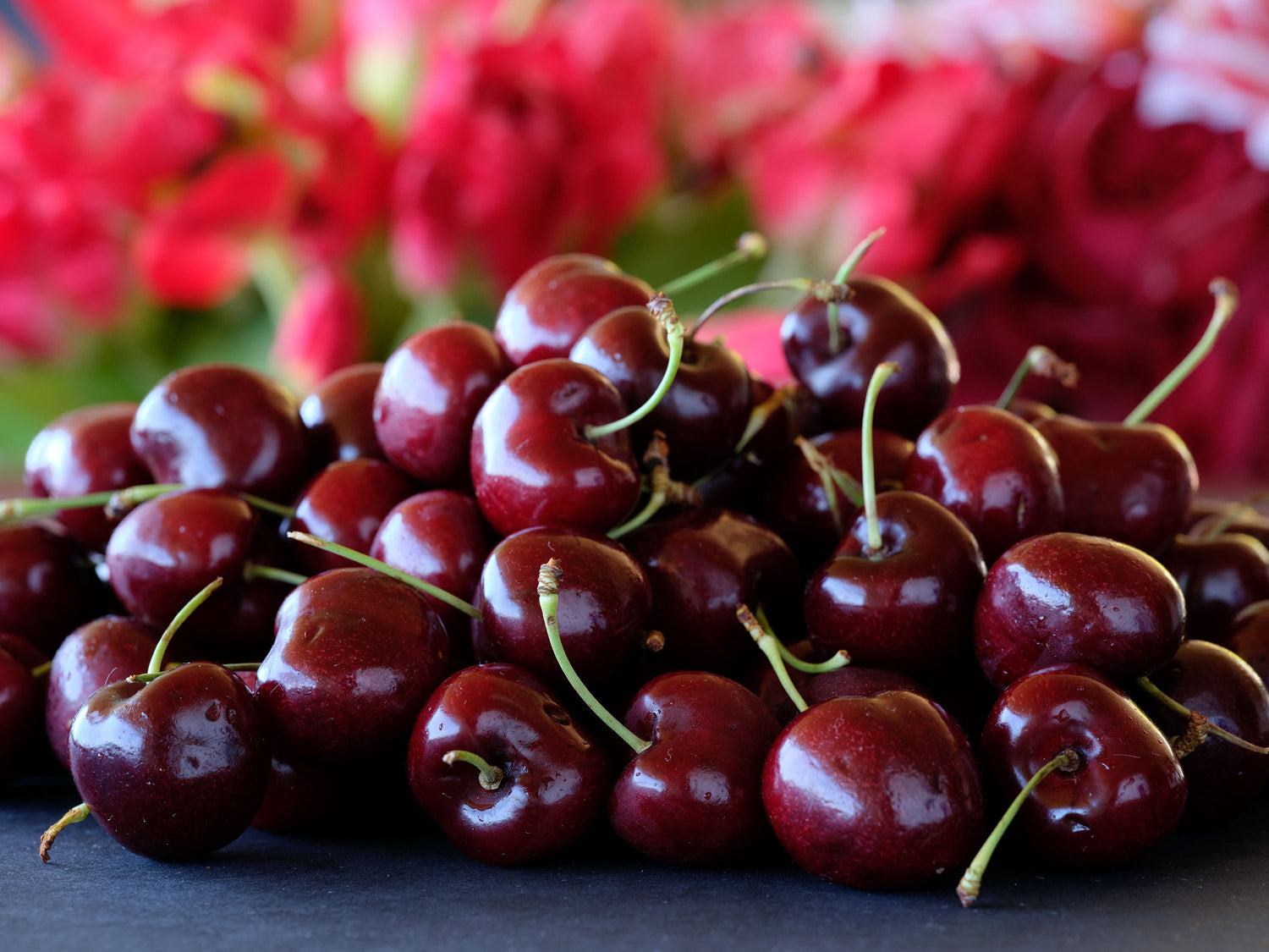 pile of Lapin Cherries 