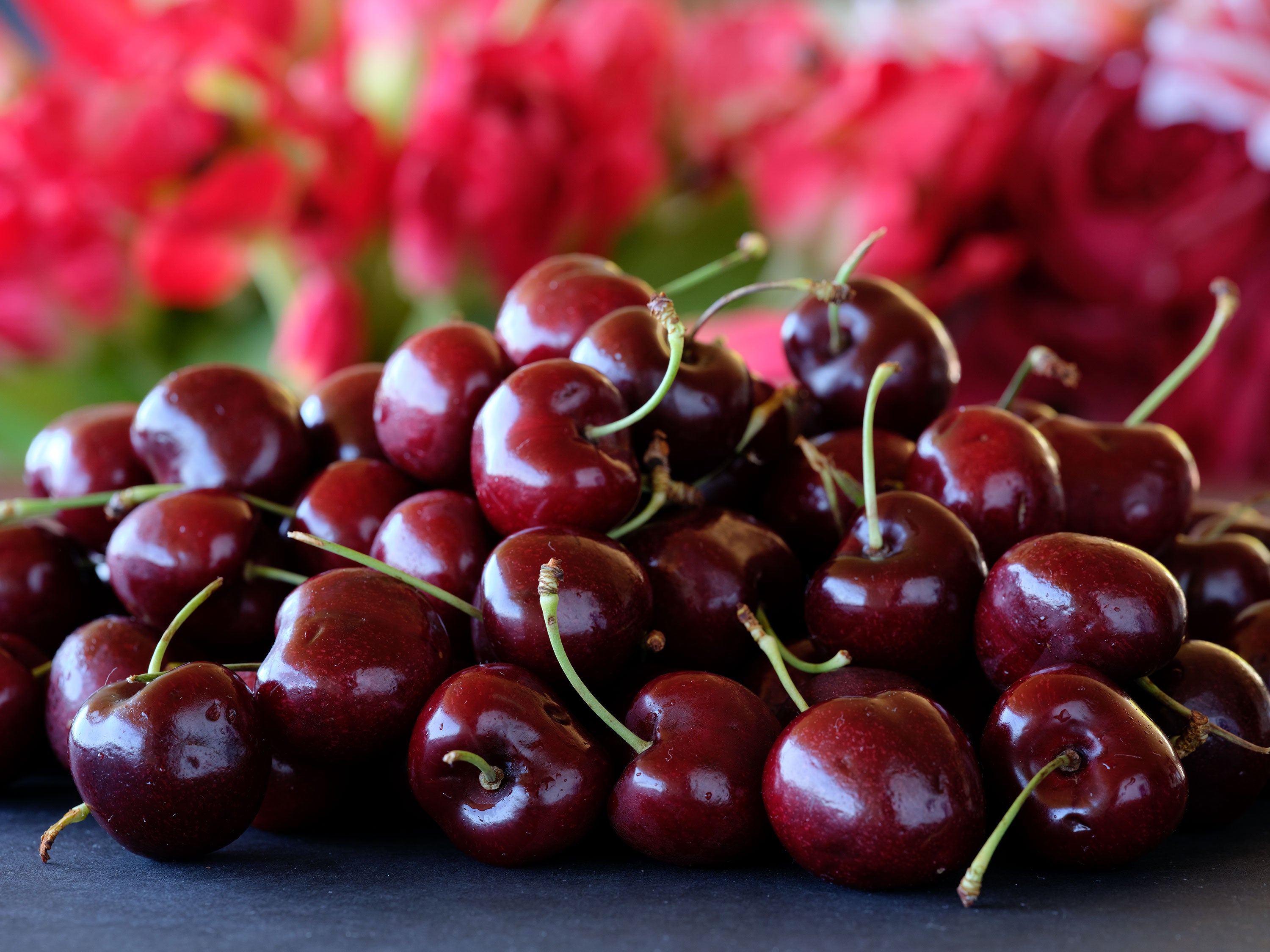 pile of Lapin Cherries 