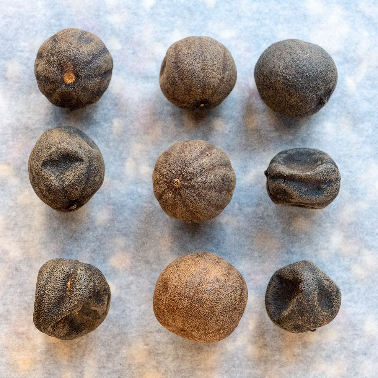 Persian Black Lemons Limoo Omani
