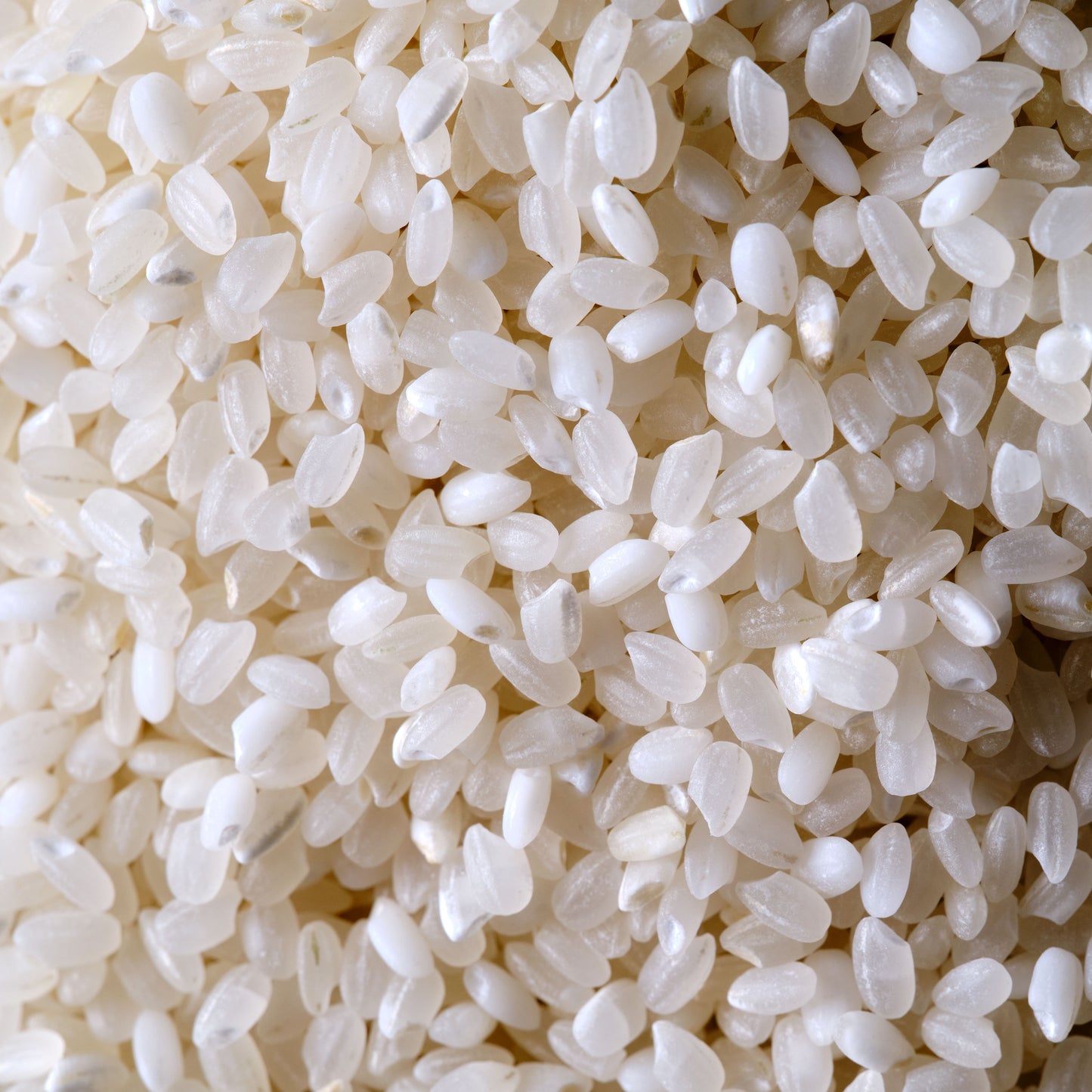 Matsuri Koshihikari Premium Short Grain Rice - rice