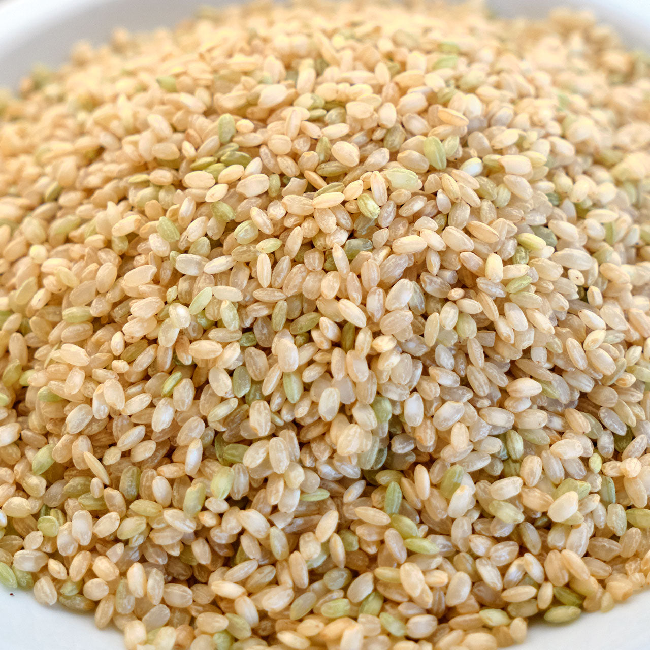 Matsuri Premium Brown Golden Koshihikara Rice