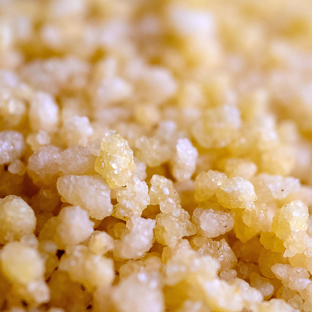 North African Couscous - organic