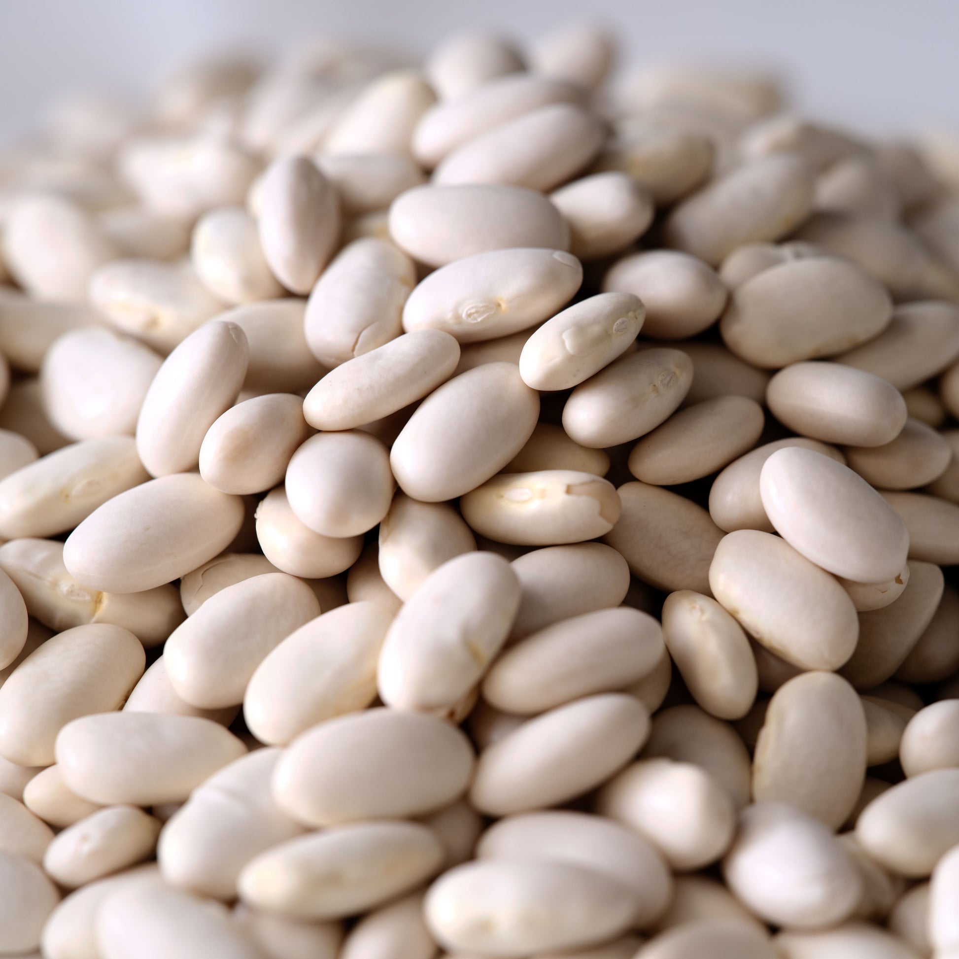 Organic Great Northern Beans - Dried