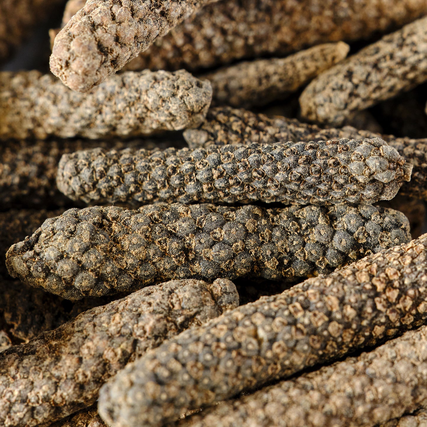 Organic Long Pepper Macro