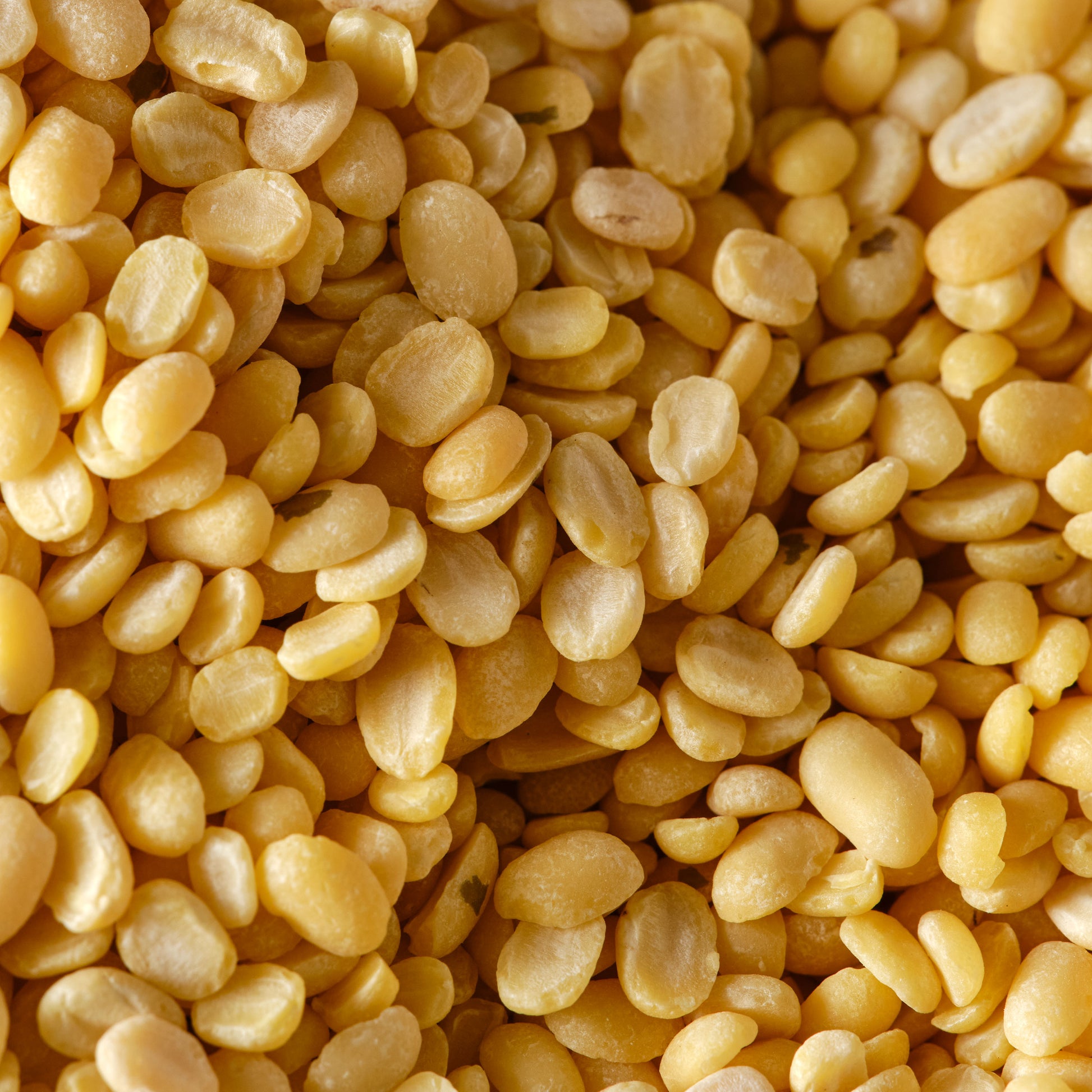 Organic Moong Dal - Split Mung Beans detail