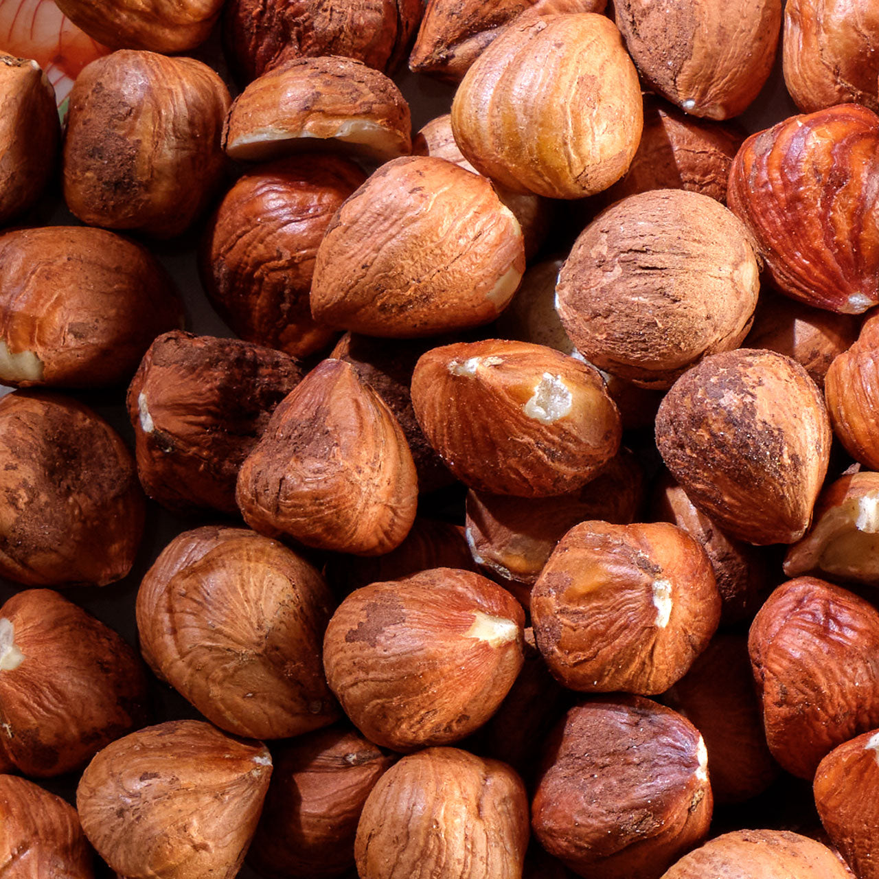 Organic Whole Roasted Hazelnuts - Oregon