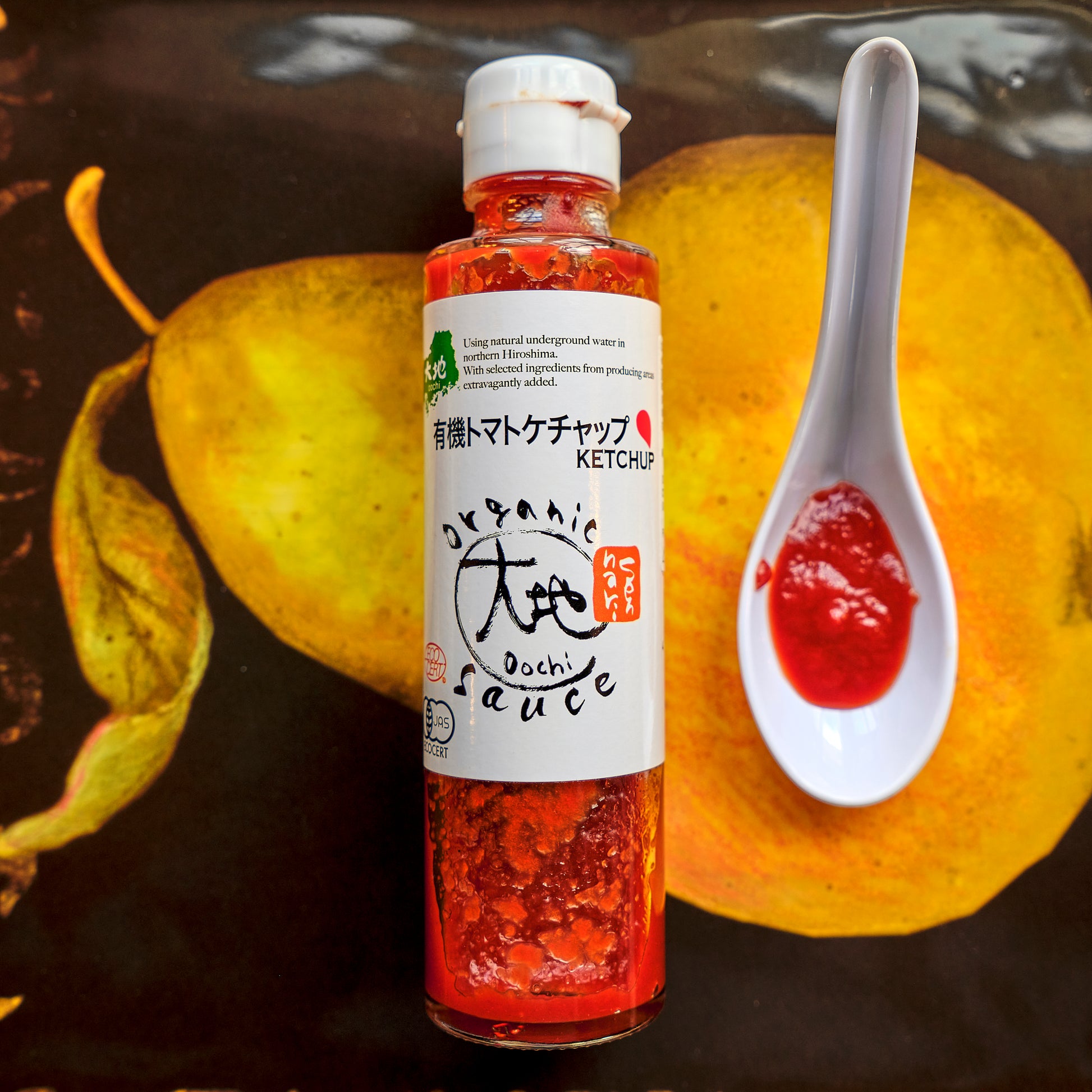 Organic Japanese Umami Ketchup spoon