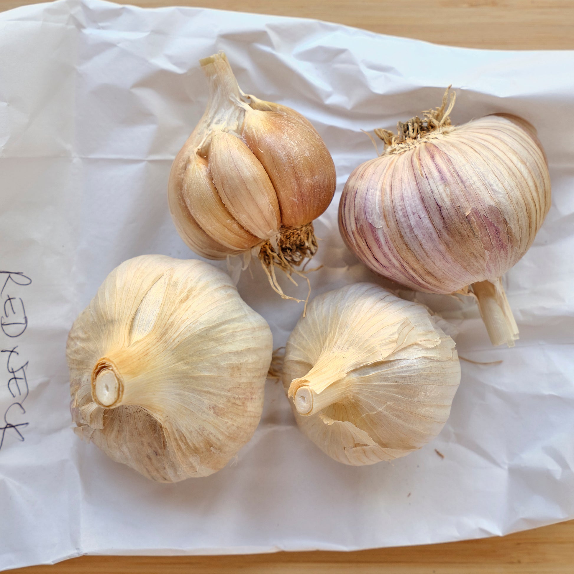 Organic Wild Redneck Garlic