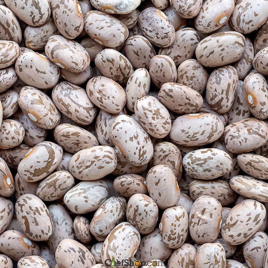 Gourmet Beans for Sale | High-Quality Organic Beans Online – ChefShop.Com