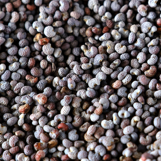 Poppy Seeds - Blue Organic Essential Pantry Macro
