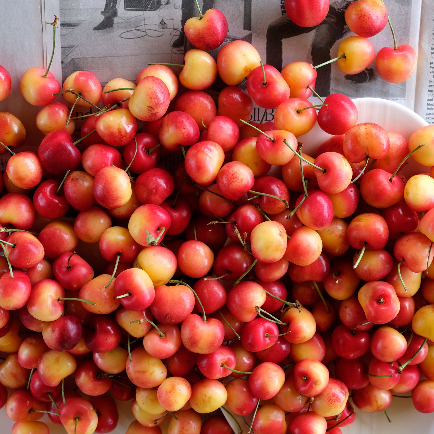 Fresh Rainier Cherries