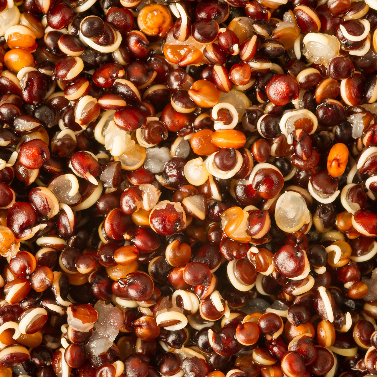 Organic Fair-Trade Red Quinoa