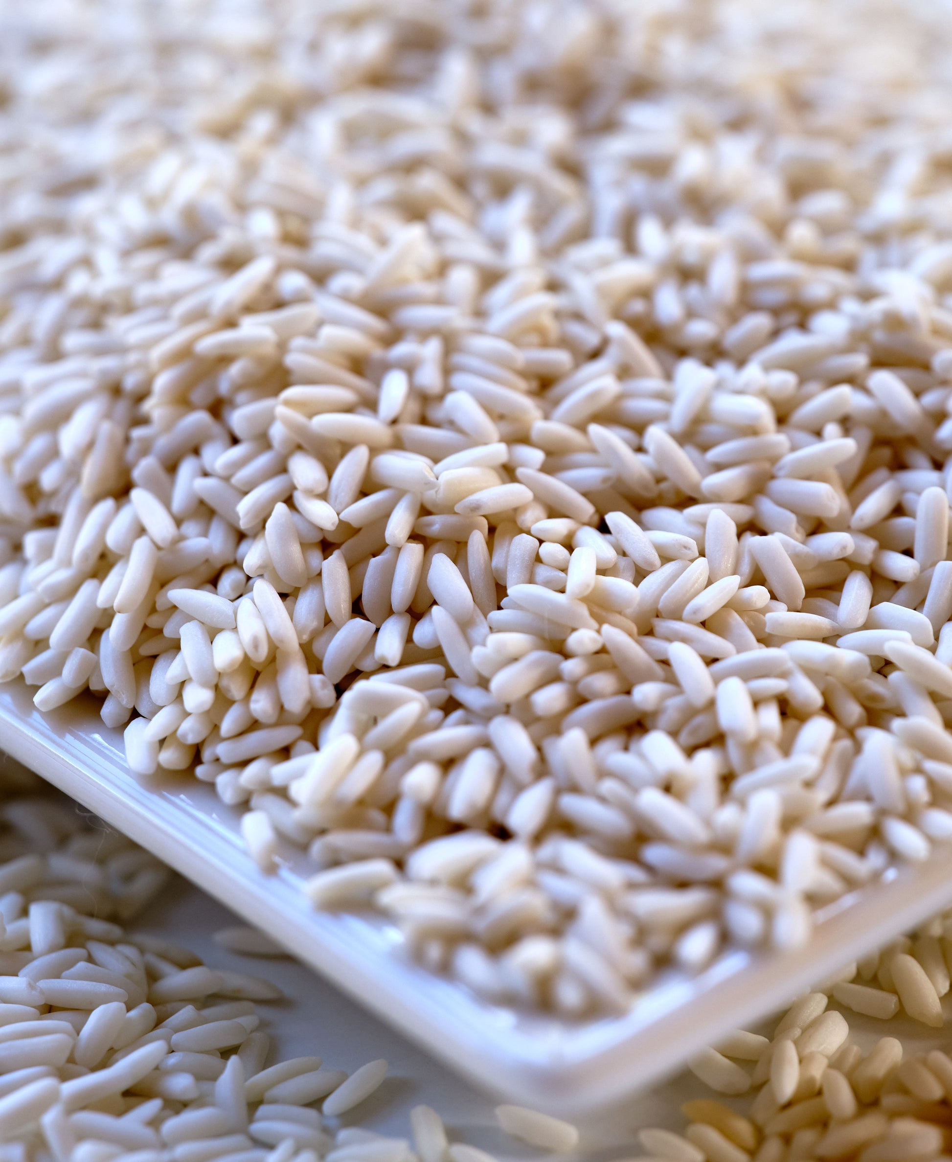 Close-up of white rice grains on a white plate Khao Niew Khao - Thai White Sticky Rice