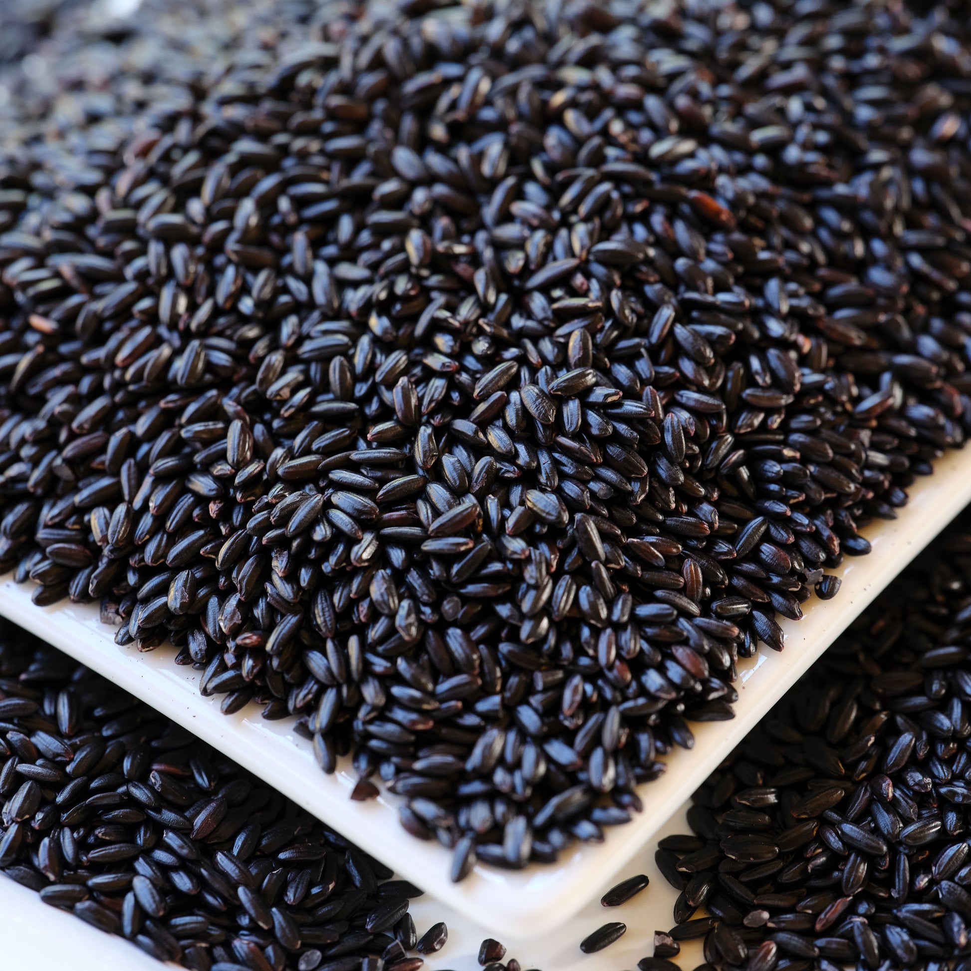 black rice on a white surface Khao Niew Dam - Thai Black Sticky Rice