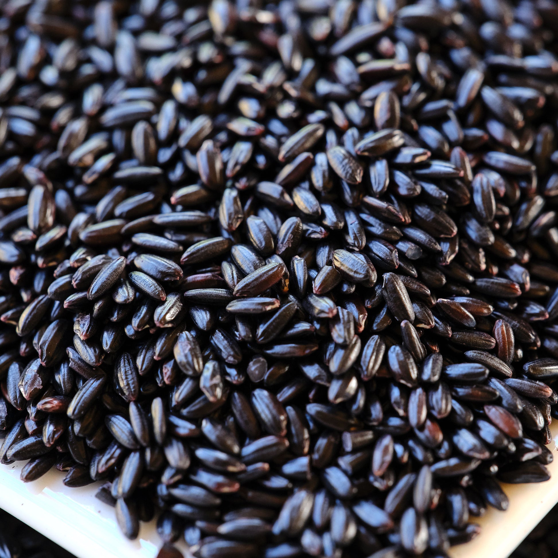 Close-up of black rice on a white plate Khao Niew Dam - Thai Black Sticky Rice