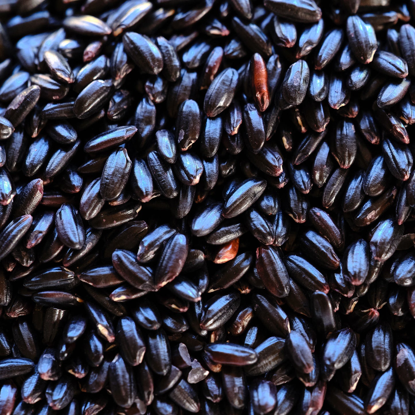 Khao Niew Dam - Thai Black Sticky Rice